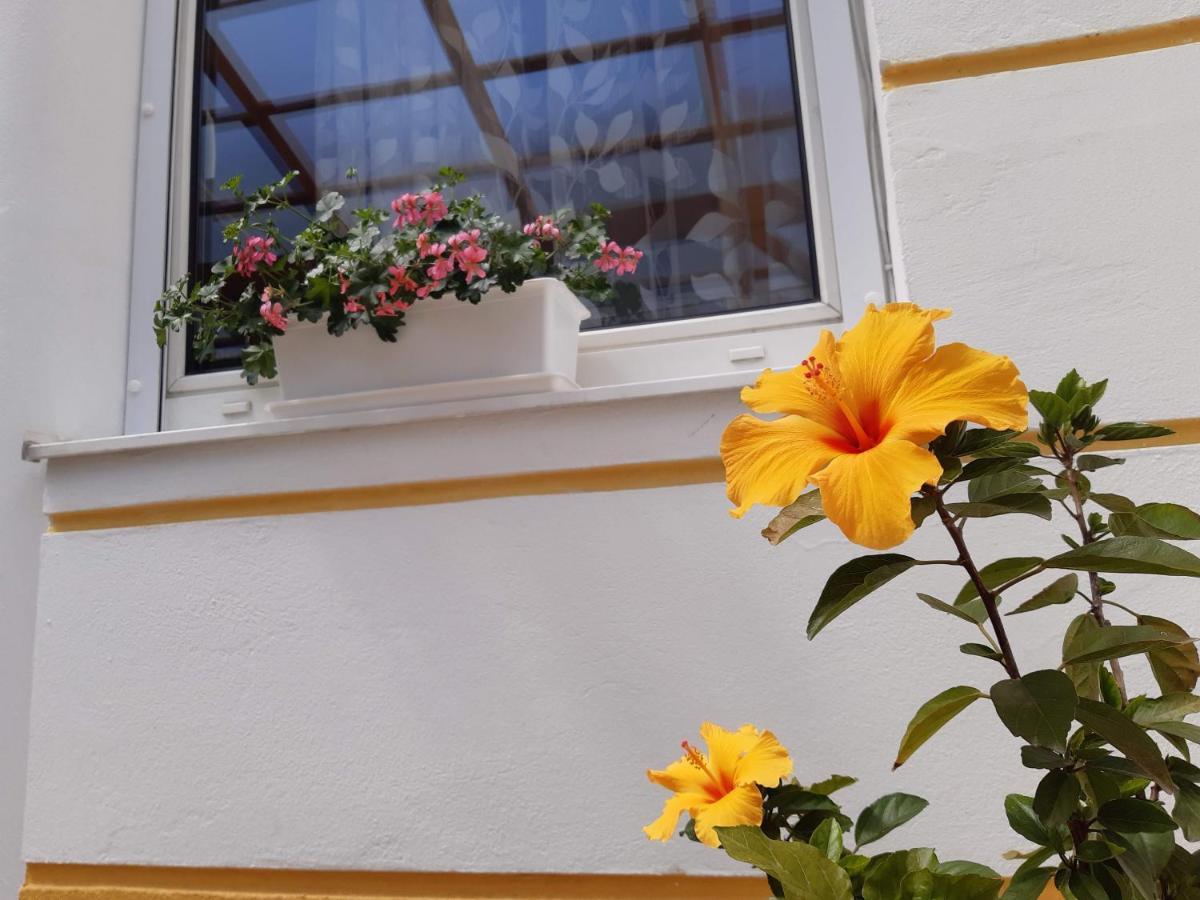 Thermal Garden Mosonmagyaróvár Εξωτερικό φωτογραφία