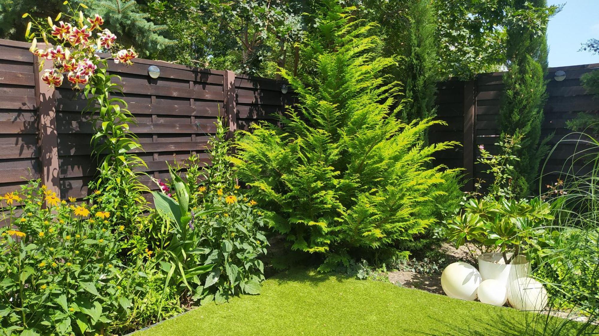 Thermal Garden Mosonmagyaróvár Εξωτερικό φωτογραφία